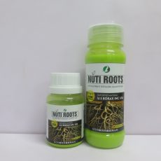 Nuti Roots